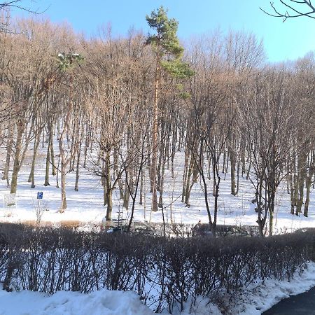 Artstudio Брашов Екстериор снимка